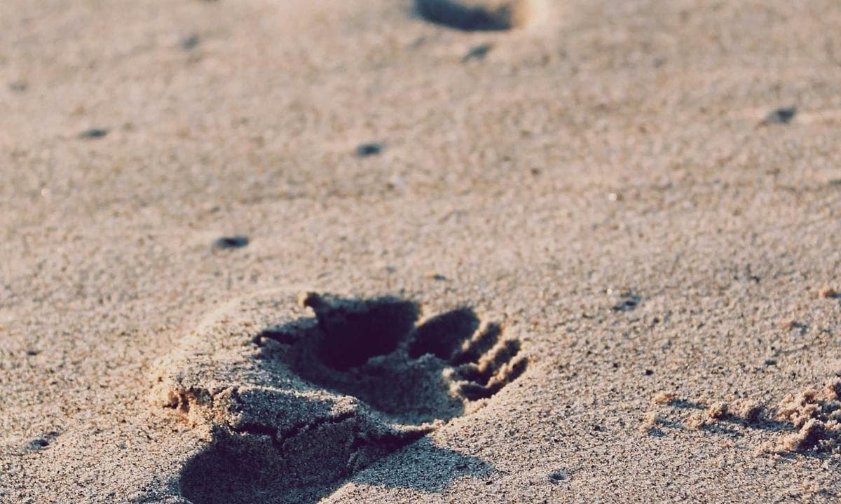 Rastet e fruthit trefishohen, ndërsa shkalla e vaksinimit bie nën pragun e sigurt
